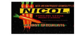 Nicol & son Pty Ltd logo